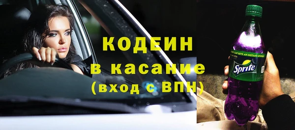 амф Гусиноозёрск