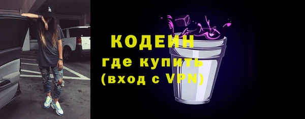 амф Гусиноозёрск